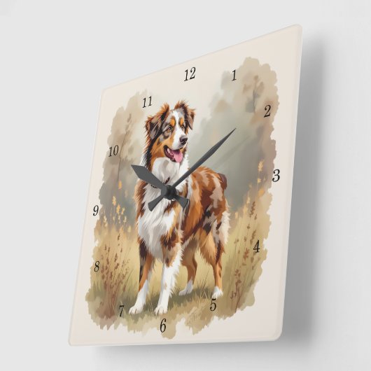 Australian Shepherd Dog Red Merle Aussie Quadratische Wanduhr (Winkel)