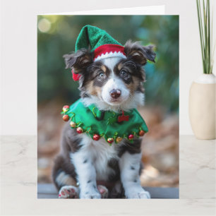 Australian Shepherd Elf Puppy Christmas Card Karte