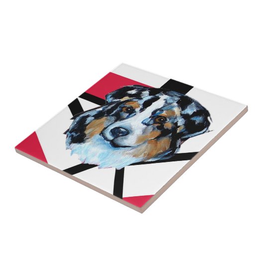 AUSTRALIAN SHEPHERD FLIESE (Seite)