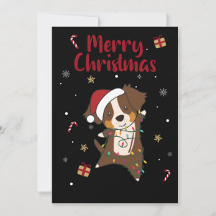 Australian Shepherd Frohe Weihnachten Winter
