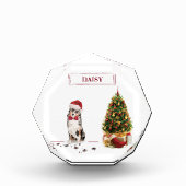 Australian Shepherd Funny Christmas Dog with Tree Fotoblock (Vorderseite)