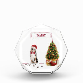 Australian Shepherd Funny Christmas Dog with Tree Fotoblock