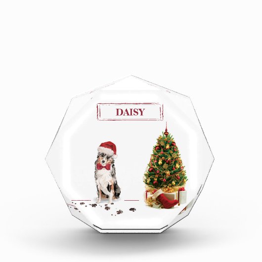 Australian Shepherd Funny Christmas Dog with Tree Fotoblock (Vorderseite)