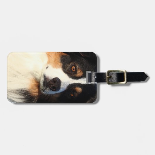 Australian Shepherd Gepäckanhänger (Vorderseite horizontal)