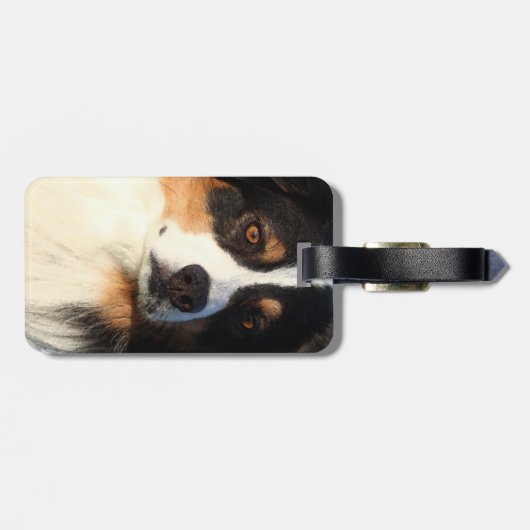 Australian Shepherd Gepäckanhänger (Rückseite horizontal)