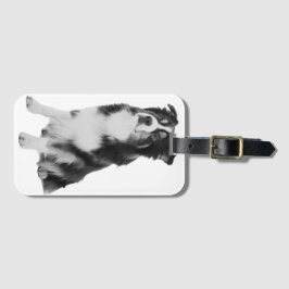 Australian Shepherd Gepäckanhänger