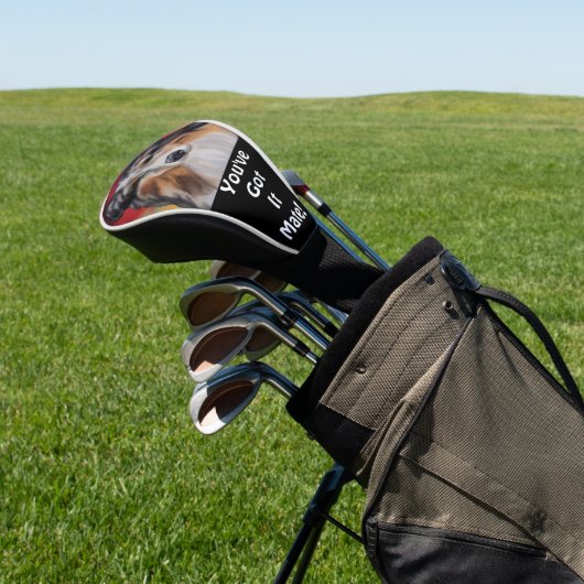 AUSTRALIAN SHEPHERD GOLF HEADCOVER (In SItu)