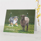 Australian Shepherd Happy Birthday Big Card Karte (Gelbe Blume)