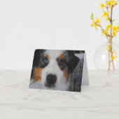 Australian Shepherd Happy Birthday Card Karte (Gelbe Blume)