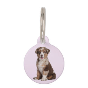 Australian Shepherd Haustiermarke