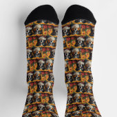 Australian Shepherd Heart Rose Valentinstag Socken (Oben)