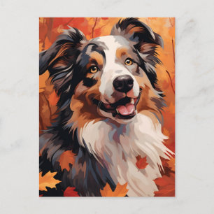 Australian Shepherd Herbst Erntedankfest  Postkarte