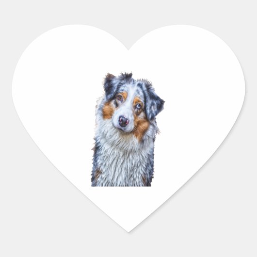 Australian Shepherd Herz-Aufkleber (Vorderseite)