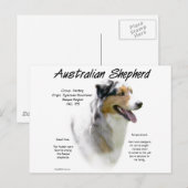 Australian Shepherd History, All about Aussies Postkarte (Vorne/Hinten)