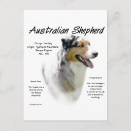 Australian Shepherd History, All about Aussies Postkarte