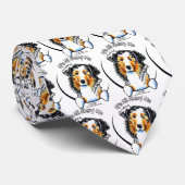 Australian Shepherd IAAM Krawatte (Gerollt)