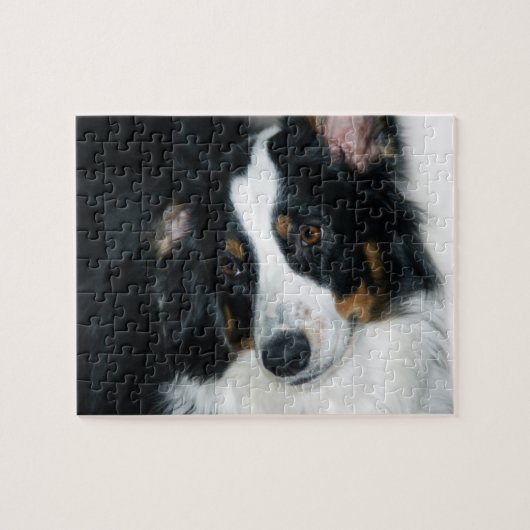 Australian Shepherd Jigsaw Puzzle (Horizontal)