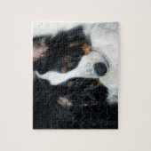 Australian Shepherd Jigsaw Puzzle (Vertikal)