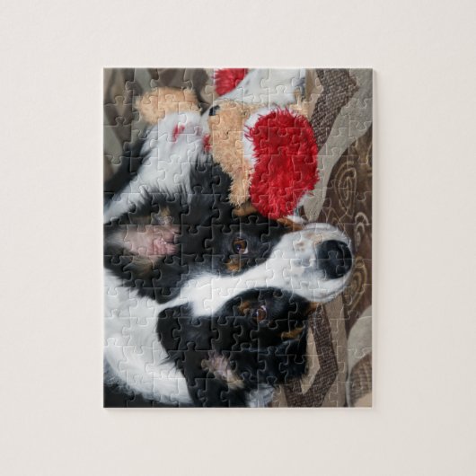 Australian Shepherd Jigsaw Puzzle (Vertikal)