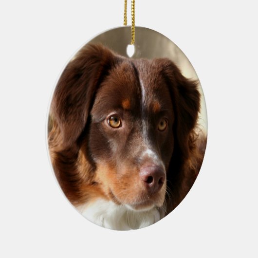 Australian Shepherd Keramik Ornament (Rechts)