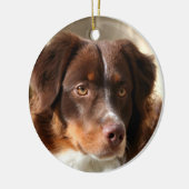 Australian Shepherd Keramik Ornament (Links)