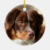 Australian Shepherd Keramik Ornament (Hinten)