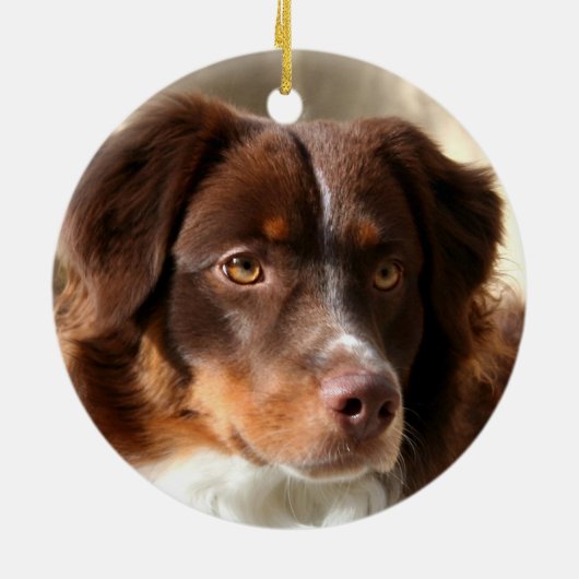 Australian Shepherd Keramik Ornament (Hinten)