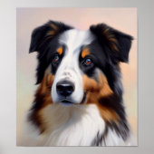 Australian Shepherd Kopf - Poster (Vorne)
