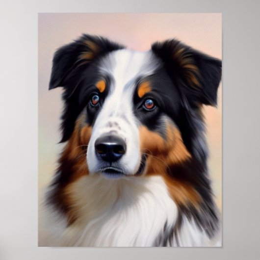Australian Shepherd Kopf - Poster (Vorne)
