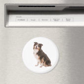 Australian Shepherd Magnet (In Situ (Geschirrspüler))