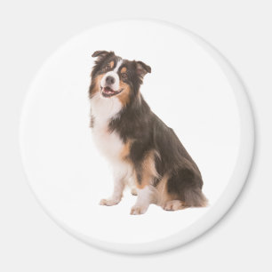 Australian Shepherd Magnet