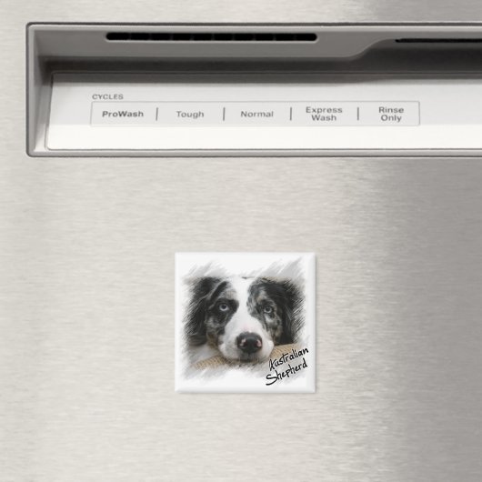 Australian Shepherd Magnet (In Situ (Geschirrspüler))