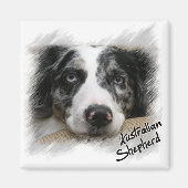 Australian Shepherd Magnet (Vorne)