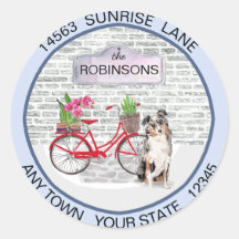 Australian Shepherd Moving Bicycle - Neue Adresse