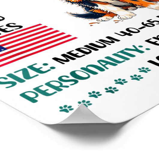 Australian Shepherd Origin Funny Aussie Dog Lover  Poster (Ecke)