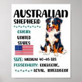 Australian Shepherd Origin Funny Aussie Dog Lover  Poster (Vorne)