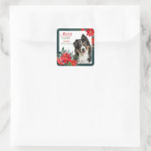 Australian Shepherd Poinsettia Bouquet Christmas Quadratischer Aufkleber (Tasche)