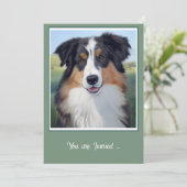 Australian Shepherd Portrait - Einladung (Stehend Vorderseite)