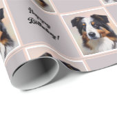 Australian Shepherd Portrait - Geschenkpapier (Rolleneckpunkt)