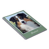 Australian Shepherd Portrait  -  Notizblock (Rechte Seite)