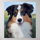 Australian Shepherd Portrait  -  Poster (Vorne)