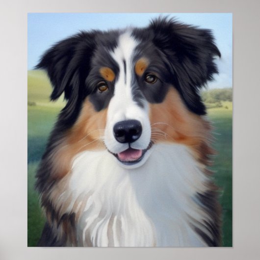 Australian Shepherd Portrait  -  Poster (Vorne)
