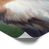 Australian Shepherd Portrait  -  Poster (Ecke)