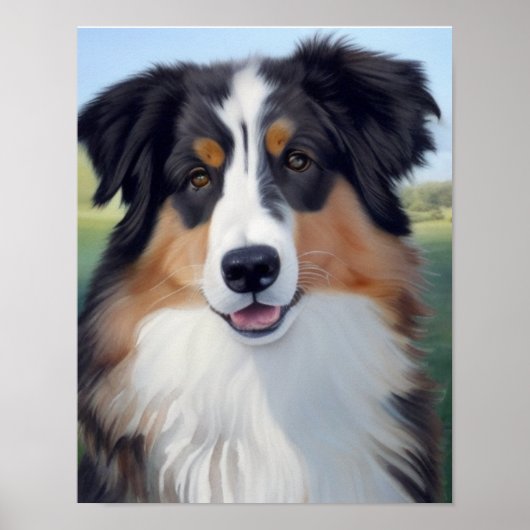 Australian Shepherd Portrait - Poster (Vorne)