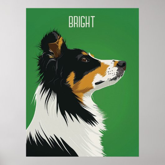 Australian Shepherd Poster (Vorne)