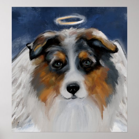 Australian Shepherd Poster (Vorne)