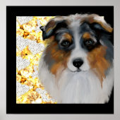 Australian Shepherd Poster (Vorne)