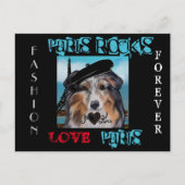 AUSTRALIAN SHEPHERD POSTKARTE (Vorderseite)