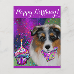 Australian Shepherd Postkarte