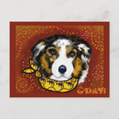 AUSTRALIAN SHEPHERD POSTKARTE (Vorderseite)